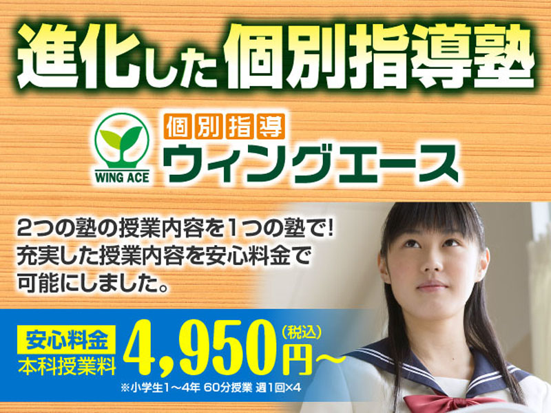 ウィングエース