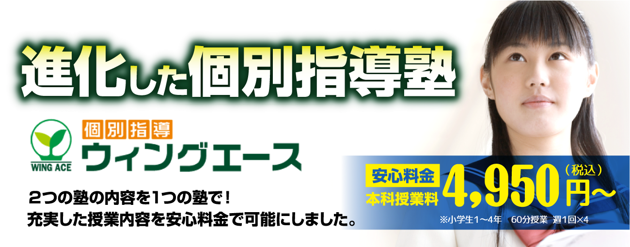 ウィングエース